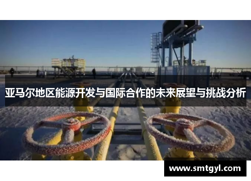 亚马尔地区能源开发与国际合作的未来展望与挑战分析